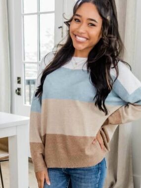 Pink Lily Striped Crewneck Sweater - Blue, Cream & Brown